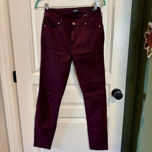 Buffalo David Bitton Deep Burgundy Pants